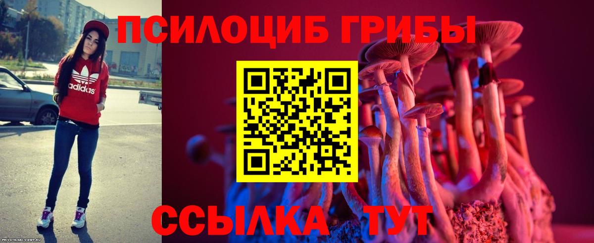 Галлюциногенные грибы мицелий Богданович